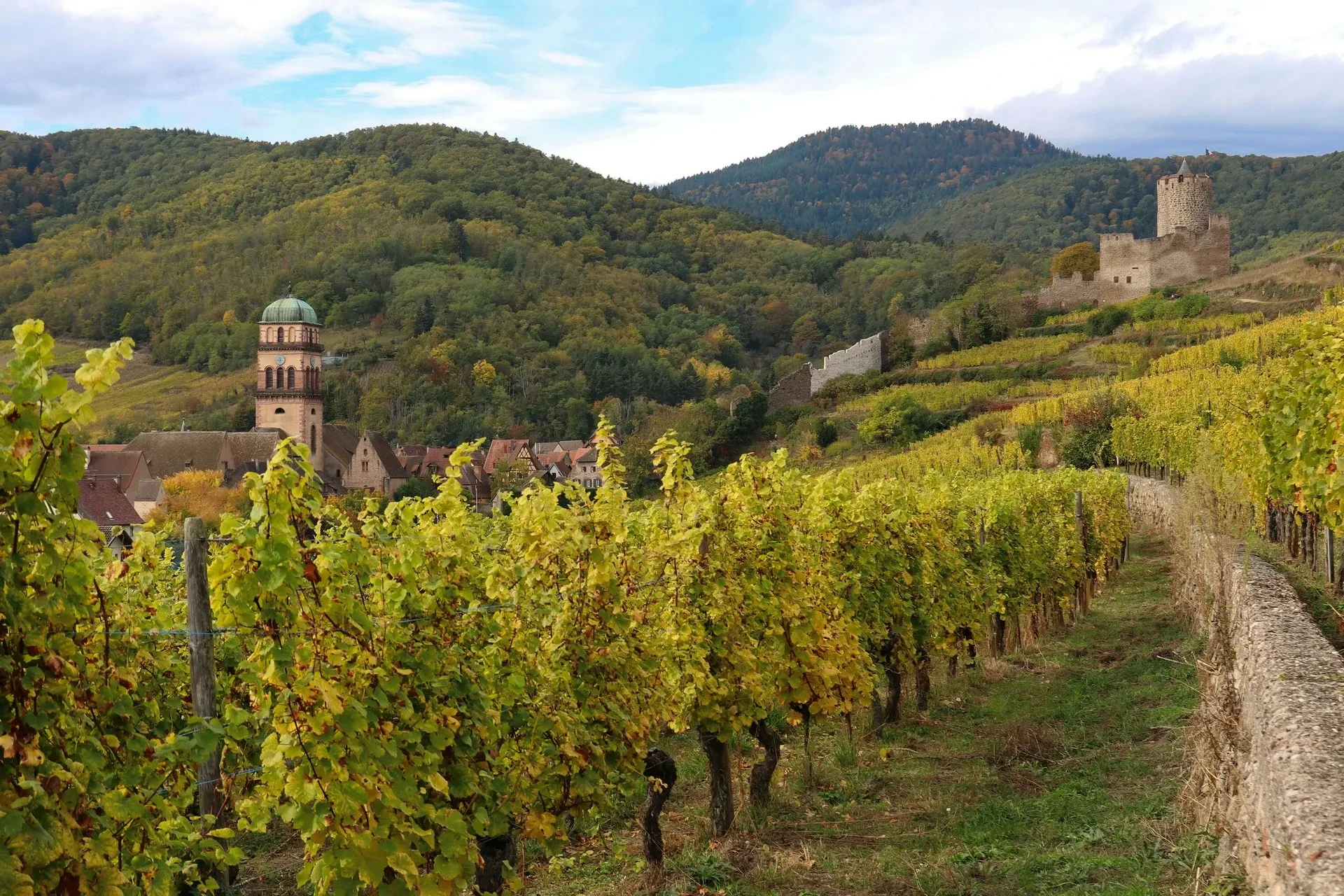 Vineyard with village and hills